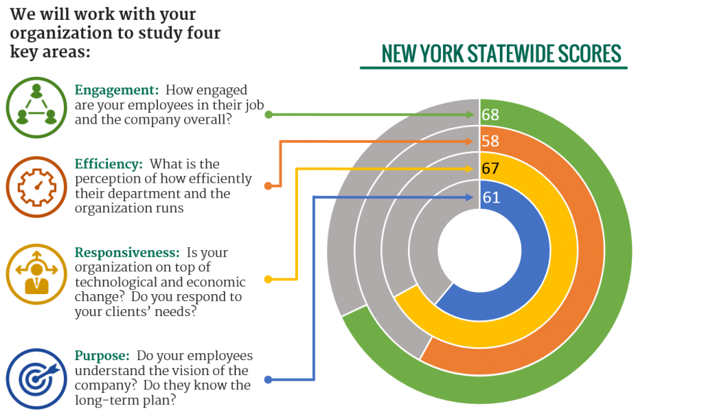 org culture scores