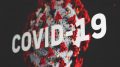 COVID-19